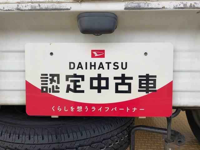 ハイゼットトラックツインカムスペシャル４ＷＤ　ラジオデッキ　手動ドアミラー　手動ウィンドウ（長野県）の中古車