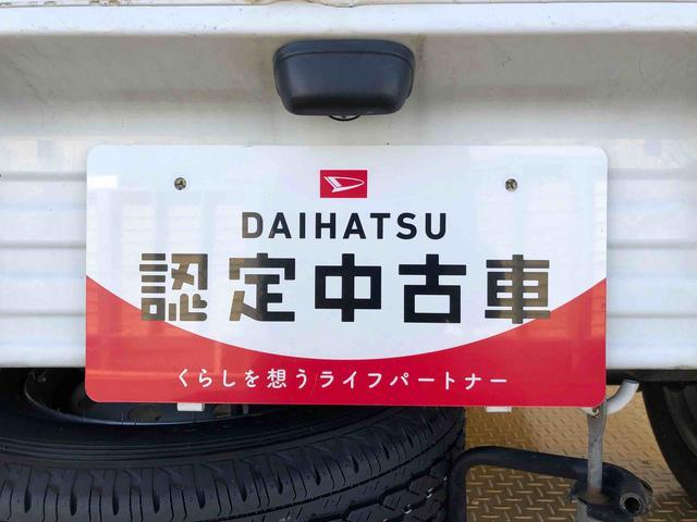 ハイゼットトラックスペシャル４ＷＤ　手動ドアミラー　手動ドアロック　ラジオ　作業灯　テールゲートチェーン（長野県）の中古車