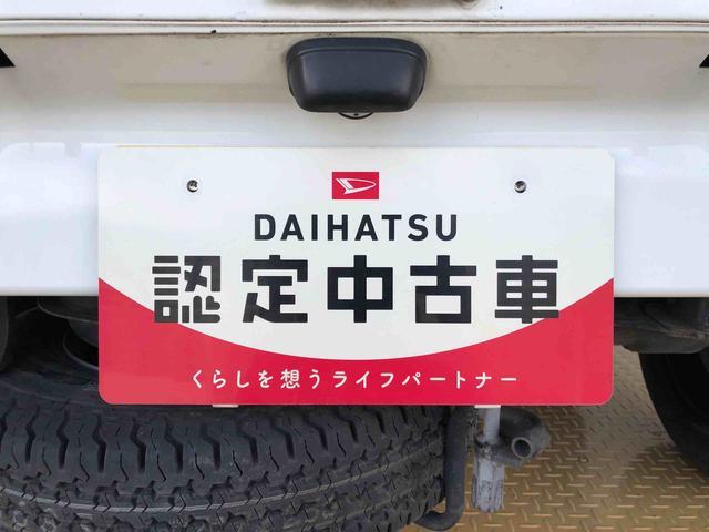 ハイゼットトラックスタンダード　農用スペシャル４ＷＤ　マニュアルエアコン　パワステ　作業灯　リヤ４枚リーフスプリング　スーパーデフロック　ラジオデッキ　手動ドアミラー　手動ウィンドウ（長野県）の中古車
