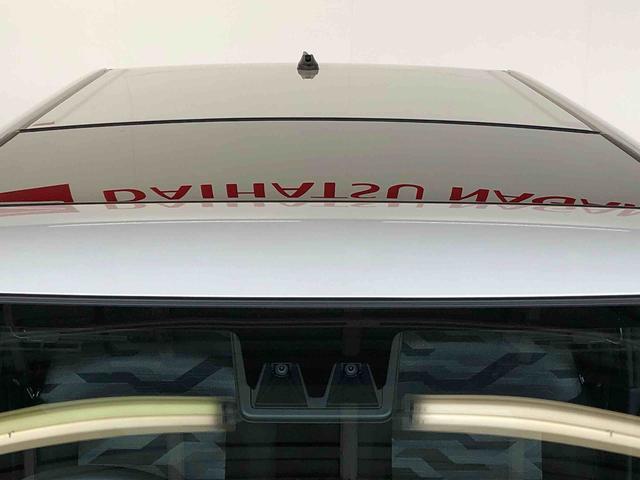 タフトX(長野県)の中古車
