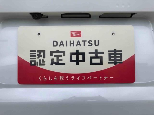 タフトX(長野県)の中古車