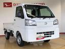４ＷＤ　マニュアルエアコン　パワステ　タイミングチェーン　ラジオデッキ　手動ドアミラー　手動ウィンドウ　衝突被害軽減システム　横滑り防止機能　アイドリングストップ　ＡＢＳ（長野県）の中古車