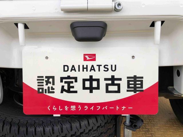 ハイゼットトラックスタンダード４ＷＤ　マニュアルエアコン　パワステ　タイミングチェーン　ラジオデッキ　手動ドアミラー　手動ウィンドウ　衝突被害軽減システム　横滑り防止機能　アイドリングストップ　ＡＢＳ（長野県）の中古車