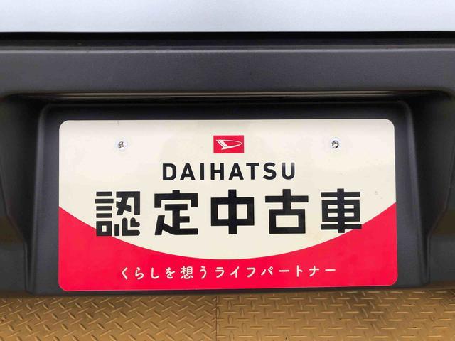 ハイゼットカーゴＤＸ４ＷＤ　ＡＭ／ＦＭラジオ　　マニュアルエアコン　パワーステアリング　パワードアロック　キーレスエントリー　衝突被害軽減システム　横滑り防止機能　アイドリングストップ　オートライト　ＡＢＳ（長野県）の中古車