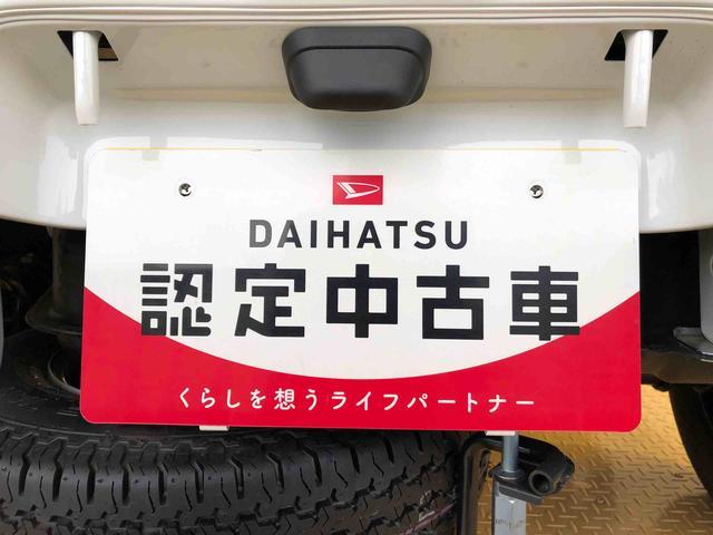 ハイゼットトラックスタンダード４ＷＤ　マニュアルエアコン　パワステ　タイミングチェーン　ラジオデッキ　手動ドアミラー　手動ウィンドウ　衝突被害軽減システム　横滑り防止機能　アイドリングストップ　ＡＢＳ（長野県）の中古車