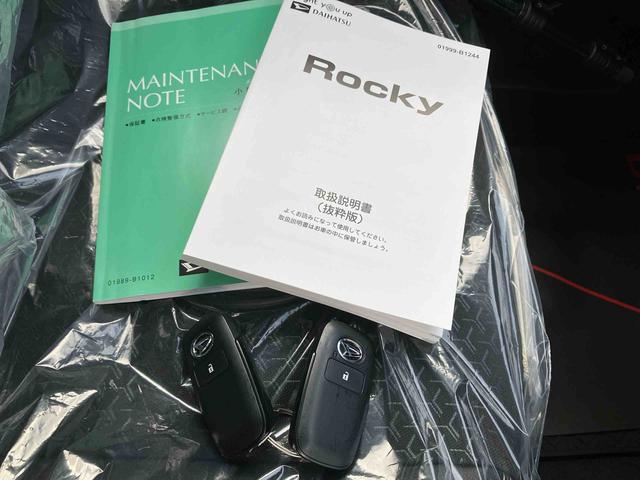 ロッキープレミアムＧ（沖縄県）の中古車