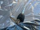 Ｂｌｕｅｔｏｏｔｈチューナー（沖縄県）の中古車