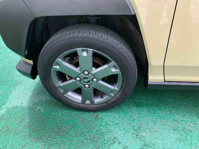 タフトＧターボ（沖縄県）の中古車