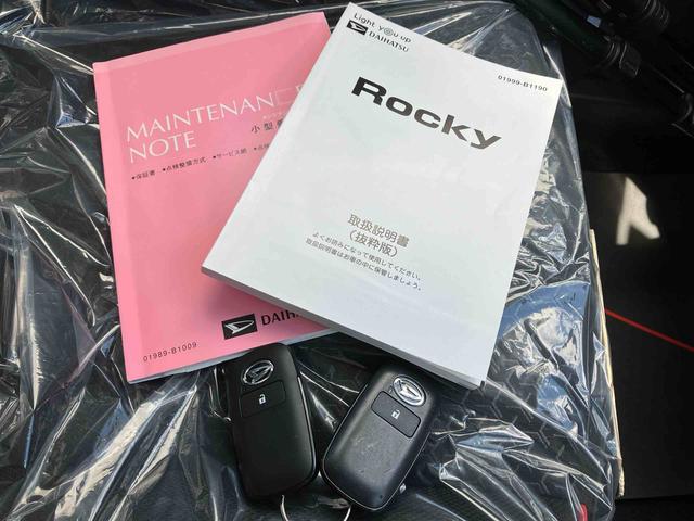 ロッキーＧ（沖縄県）の中古車