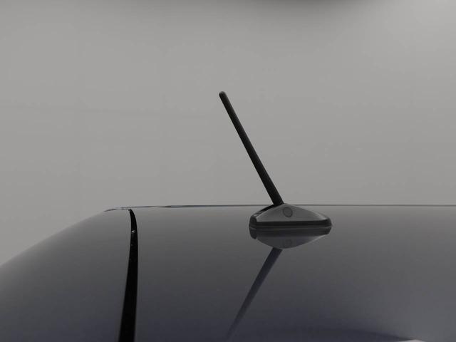 タフトX衝突回避支援ブレーキ 車線逸脱警報 バックカメラ LEDヘッドランプ キーフリー プッシュスタート ABS 整備手帳 取扱説明書(愛知県)の中古車