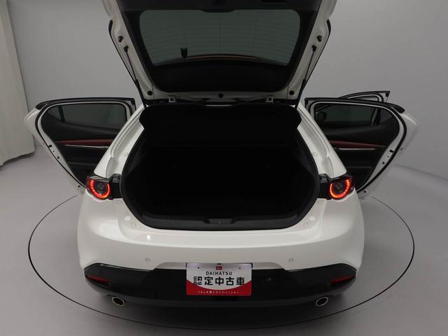 ＭＡＺＤＡ３ファストバック２０Ｓバーガンディ　セレクション（愛知県）の中古車