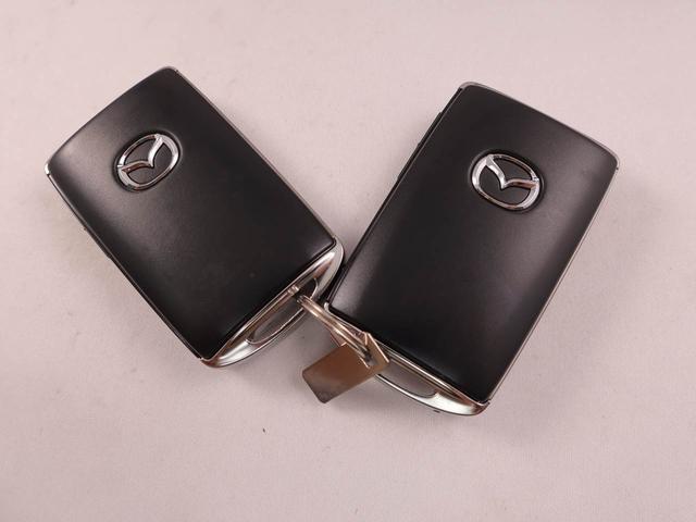 ＭＡＺＤＡ３ファストバック２０Ｓバーガンディ　セレクション（愛知県）の中古車