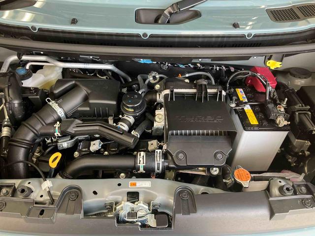 タフトＧターボ　クロムベンチャー（三重県）の中古車