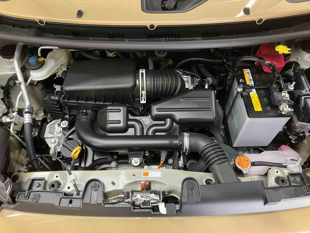 タフトG/ガラスルーフ/ナビ/バックモニター/ドライブレコーダーガラスルーフ スカイフィールトップ ナビ バックモニター ドライブレコーダー クルコン プッシュボタンスタート キーフリー 電動パーキングブレーキ 15インチアルミホイール LED シートヒーター(三重県)の中古車