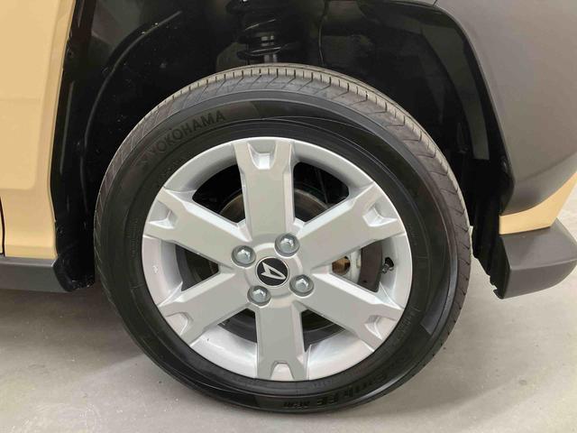 タフトG/ガラスルーフ/ナビ/バックモニター/ドライブレコーダーガラスルーフ スカイフィールトップ ナビ バックモニター ドライブレコーダー クルコン プッシュボタンスタート キーフリー 電動パーキングブレーキ 15インチアルミホイール LED シートヒーター(三重県)の中古車