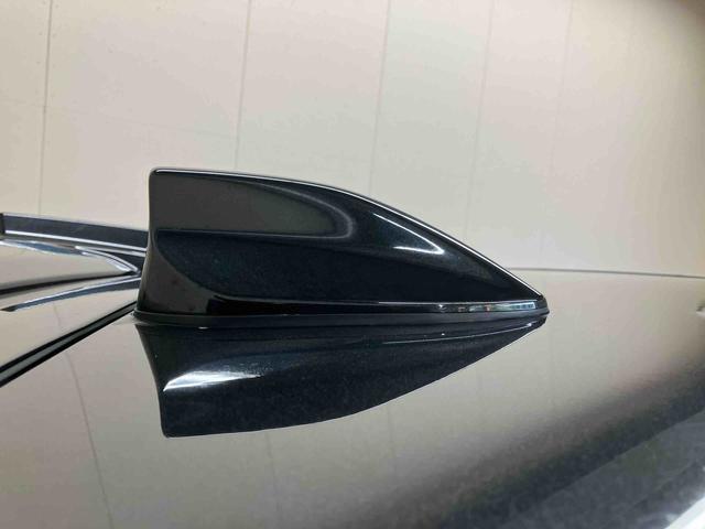 ロッキーＧプッシュボタンスタート　キーフリー　ナビ　ドライブレコーダー前後　パノラマモニター（三重県）の中古車