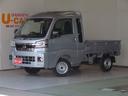 電格ドアミラー　展示試乗車　プッシュスタート　オートＬＥＤ　衝突安全ボディ　Ｗエアバック　ｉ−ｓｔｏｐ　レーンアシスト　記録簿　デフロック　荷台作業照明　ゲートチェーン　あゆみ板掛け　荷台ゴムマット（三重県）の中古車