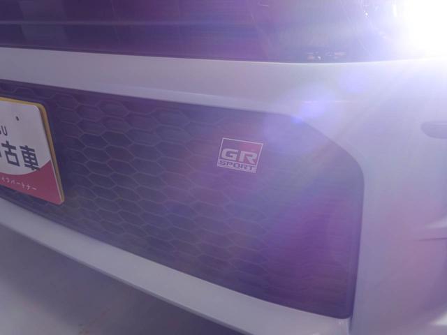 コペンGR スポーツナビ ドライブレコーダー バックカメラ ETC LEDヘッドライト(愛知県)の中古車