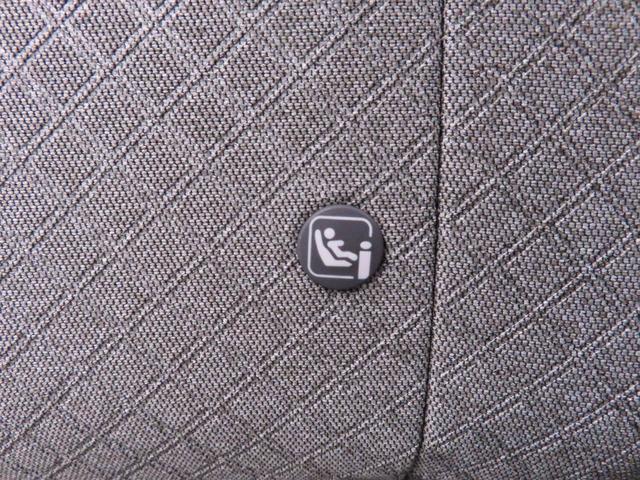 タントＸ（愛知県）の中古車