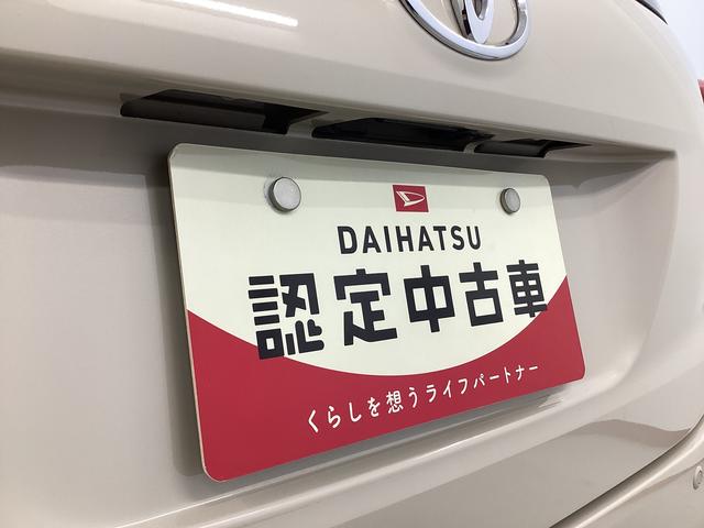 パッソＸ（岐阜県）の中古車