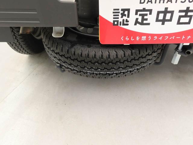 ハイゼットトラックスタンダード（愛知県）の中古車