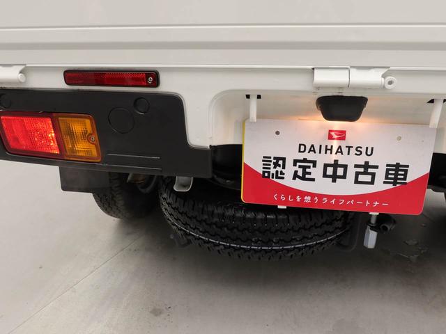 ハイゼットトラックジャンボスタンダード（愛知県）の中古車