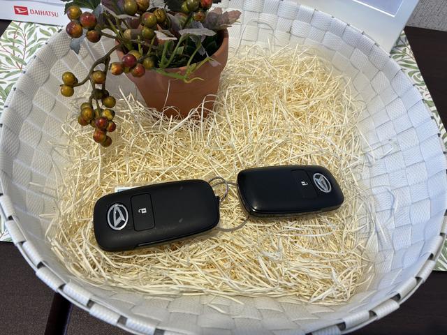 タフトＧ　４ＷＤワンオーナー・４ＷＤ・２．７万Ｋ・ディスプレイオーディオ・バックカメラ・オートエアコン・シートヒーター・ステアリングスイッチ・電動パーキング・ドアバイザー・スマートアシスト搭載車・電子カードキー（北海道）の中古車