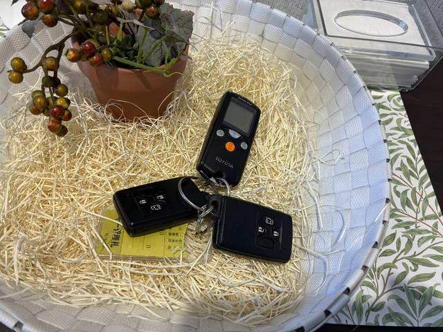 ヴェルファイアハイブリッドX 4WDワンオーナー・4WD・9.9万K・ナビ・バックカメラ・ETC・オートエアコン・ドライブレコーダー・ステアリングスイッチ・クルーズコントロール・ドアバイザー・スタッドレスタイヤ・片側電動スライドドア(北海道)の中古車