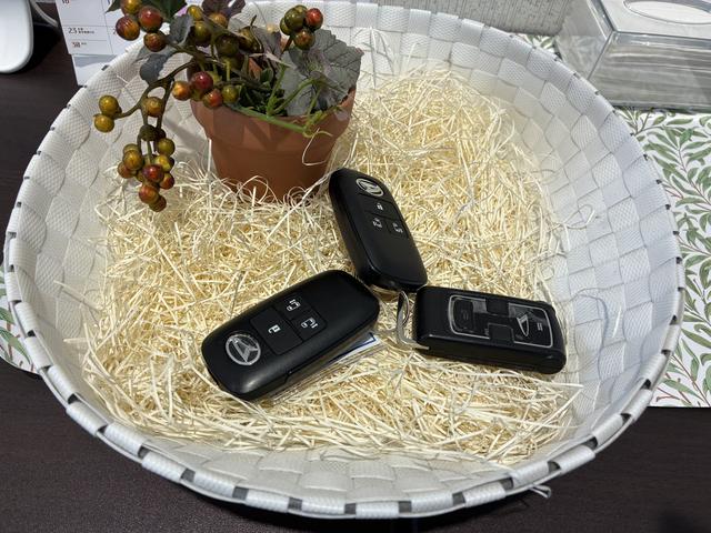 トールカスタムG 4WDワンオーナー・4WD・4.8万K・ディスプレイオーディオ・パノラマモニター・ステアリングスイッチ・クルーズコントロール・ETC・ドライブレコーダー・オートエアコン・シートバックテーブル・スタッドレス(北海道)の中古車