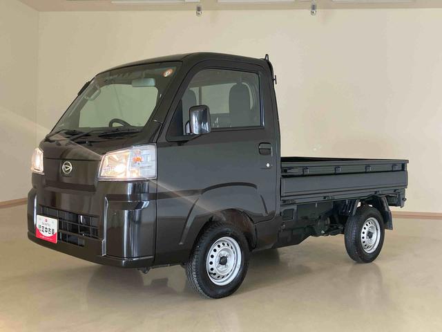 ハイゼットトラックスタンダード（北海道）の中古車