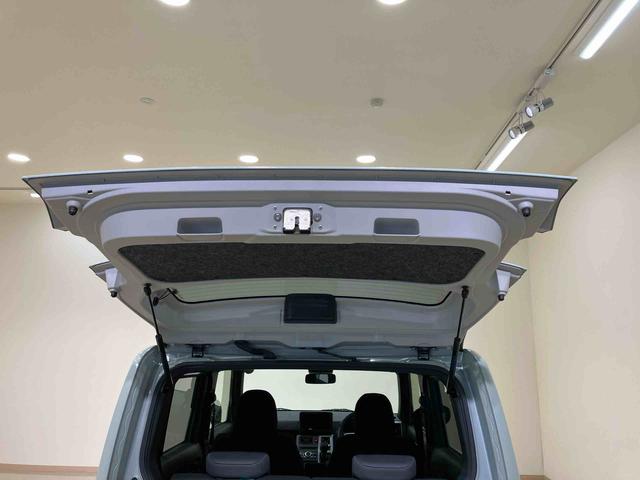 タフトＧターボ　クロムベンチャー（北海道）の中古車