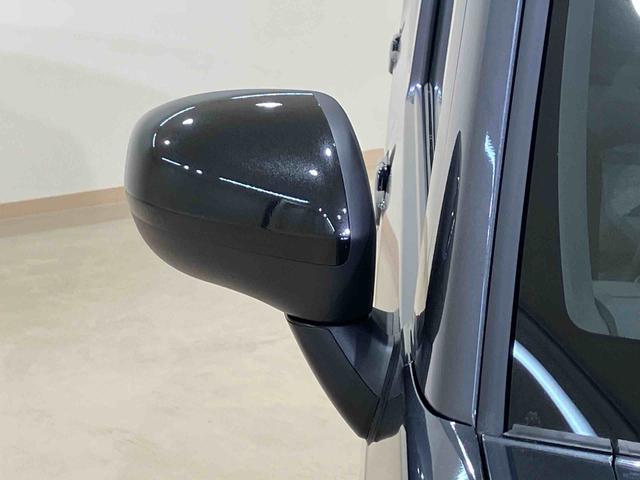 タフトＧ　ダーククロムベンチャー（北海道）の中古車