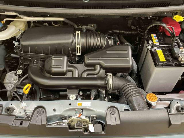 タフトX(北海道)の中古車