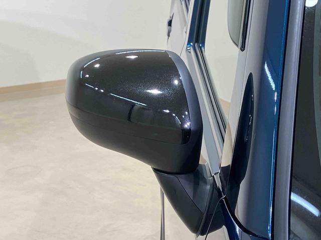 タフトＧ　ダーククロムベンチャー（北海道）の中古車