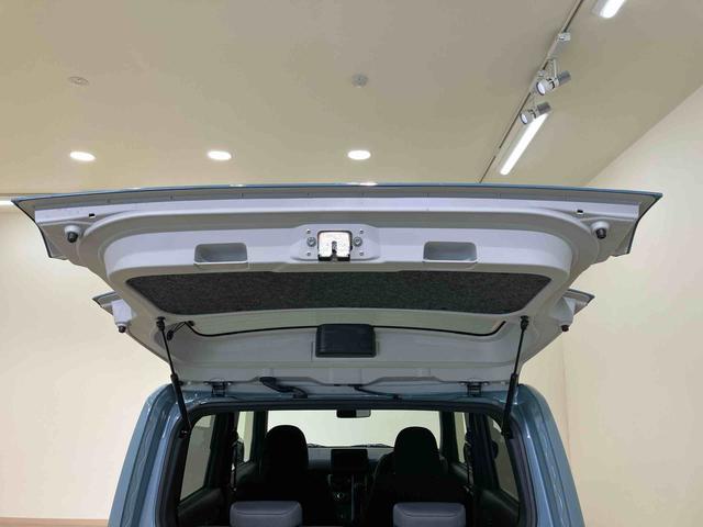 タフトＸ４ＷＤ　アイドリングストップ　オートマチックハイビーム　オートライト　衝突防止システム　ＬＥＤヘッドランプ　レーンアシスト　スマートキー　記録簿　ワンオーナー　エアバッグ　エアコン　パワーステアリング（北海道）の中古車