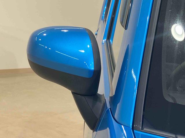 タフトＧターボ　クロムベンチャー（北海道）の中古車