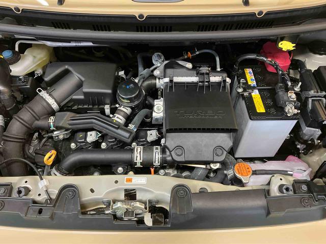 タフトGターボ(北海道)の中古車