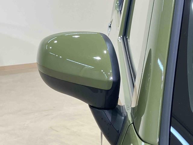 タフトＧ　クロムベンチャー（北海道）の中古車