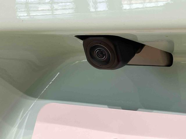 タントウェルカムターンシートＸ（北海道）の中古車