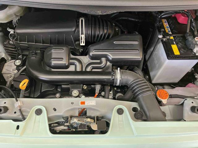 タントウェルカムターンシートＸ（北海道）の中古車