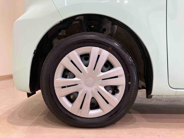 タントウェルカムターンシートＸ（北海道）の中古車