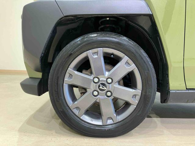 タフトＧターボ４ＷＤ　シートヒーター　ターボ　アイドリングストップ　アダプティブクルーズコントロール　オートマチックハイビーム　オートライト　衝突防止システム　ＬＥＤヘッドランプ　レーンアシスト　スマートキー（北海道）の中古車