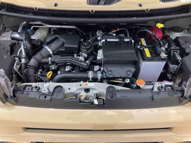 タフトGターボ(北海道)の中古車