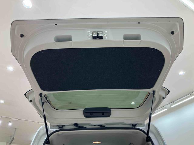 タントＸセレクション（北海道）の中古車