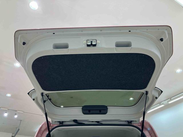 タントX(北海道)の中古車