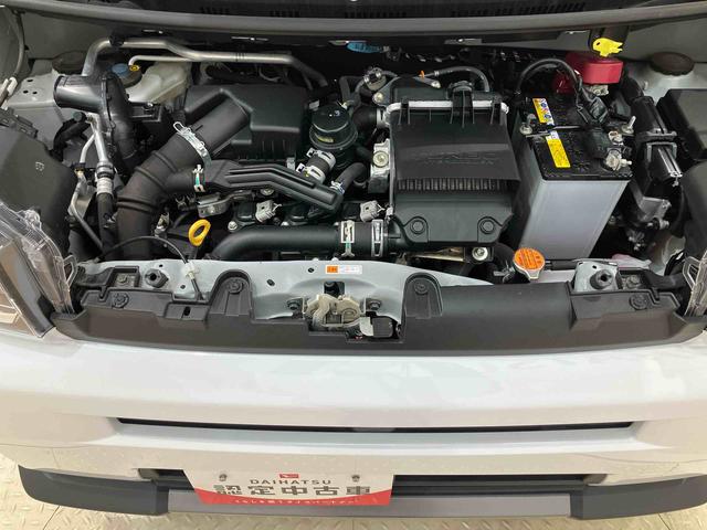 タフトＧターボ　ダーククロムベンチャー（北海道）の中古車