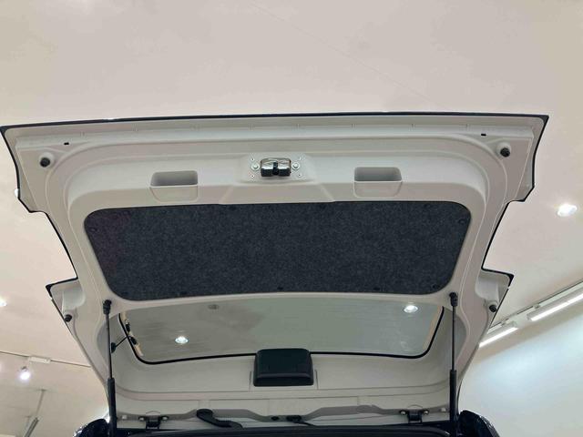 タフトＧ　ダーククロムベンチャー（北海道）の中古車