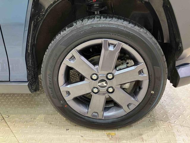 タフトＧ　ダーククロムベンチャー（北海道）の中古車