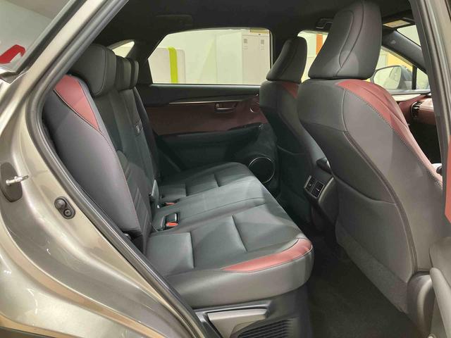 ＮＸＮＸ３００　スパイス＆シック（北海道）の中古車