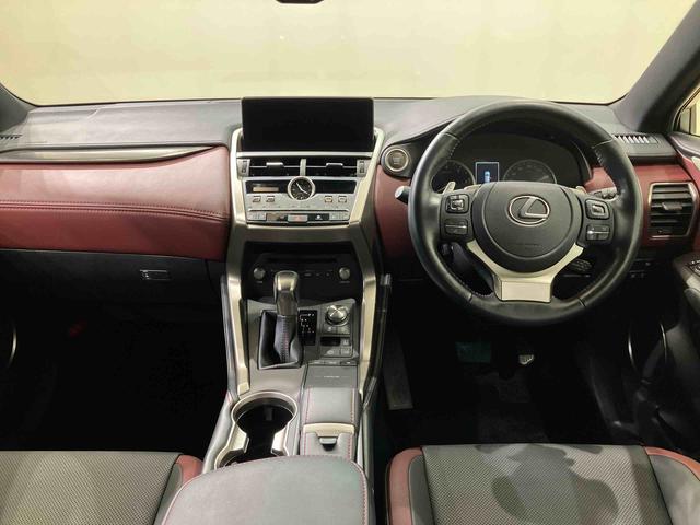 ＮＸＮＸ３００　スパイス＆シック（北海道）の中古車